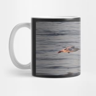 CURLLIW - CURLEW Mug